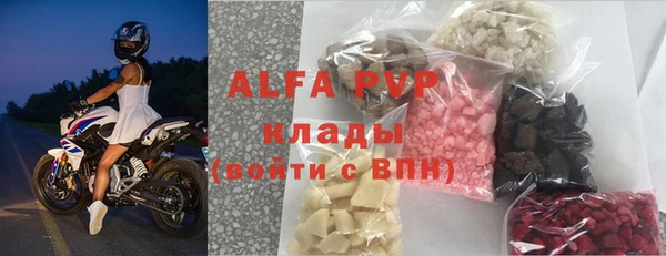стаф Балахна